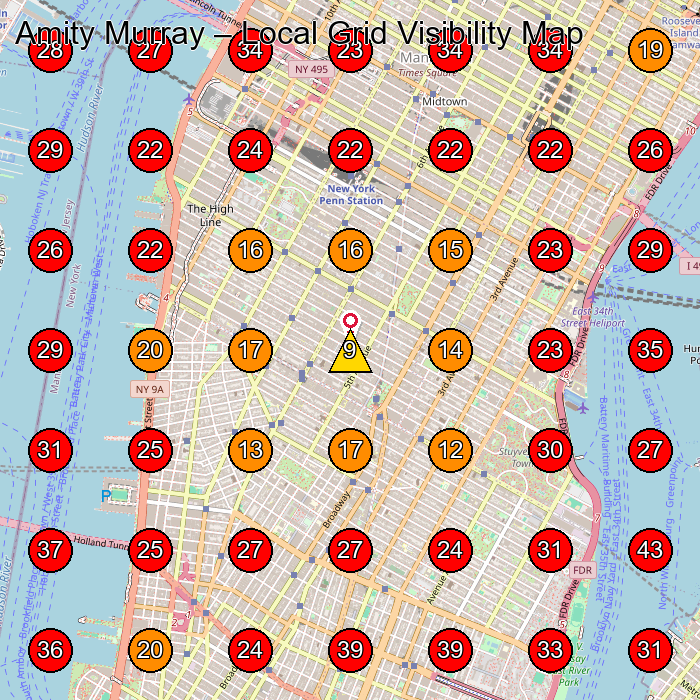 Amity Murray GeoGrid visibility map for Facial Spa in New York